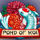 Pond Of Koi